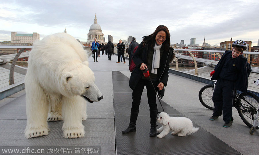 'Polar bear' roams in London, but don't panic