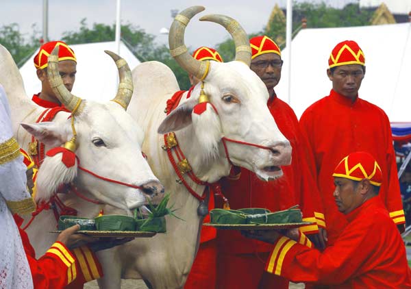 Annual ploughing ceremony heralds rice-planting season in Thailand