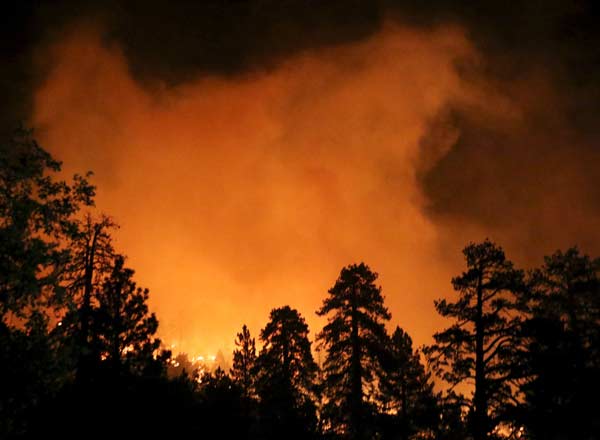 California brush fire forces evacuation of more than 300 campers