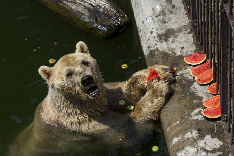 The world in photos: July 20 - 26