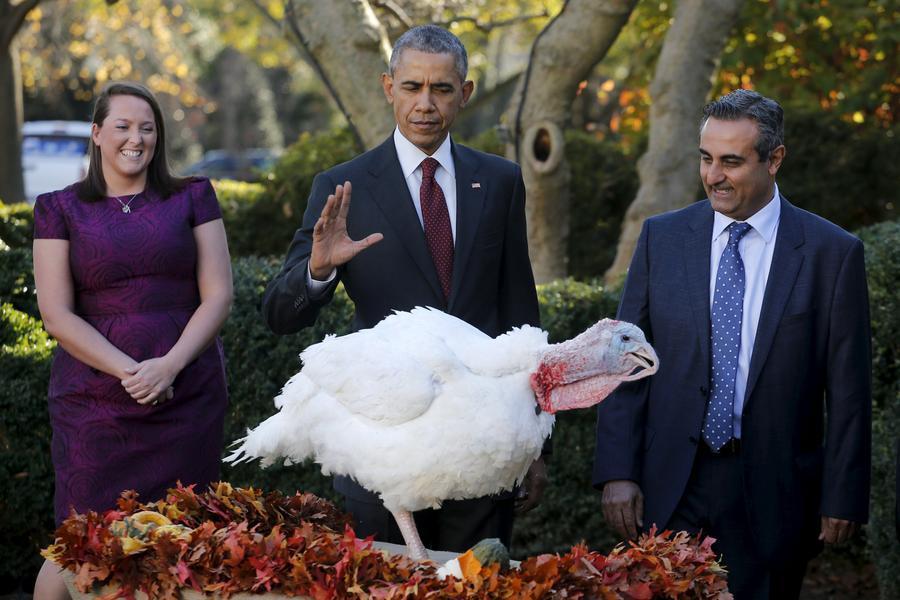 Obama pardons National Thanksgiving Turkey 'Abe'