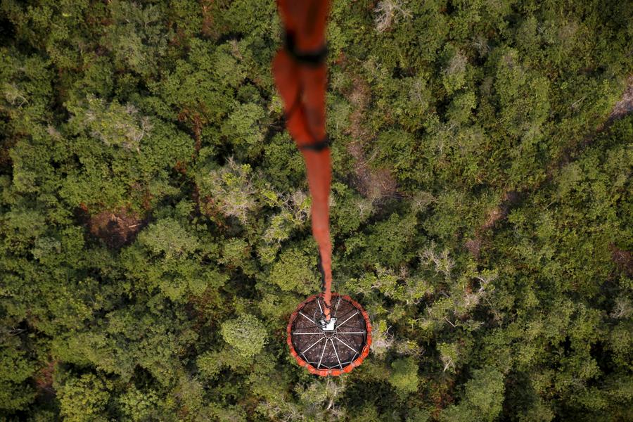 Reuters images of the year - the natural world