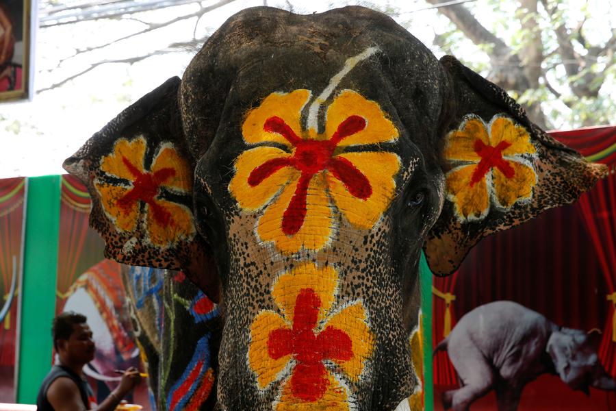 Water fight with elephants in Thailand