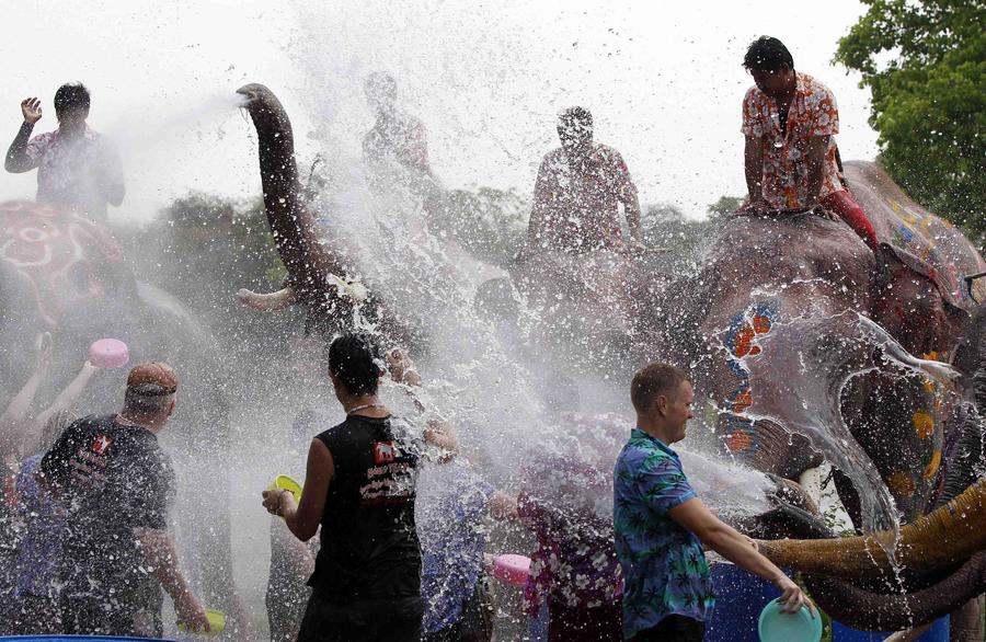 Water fight with elephants in Thailand