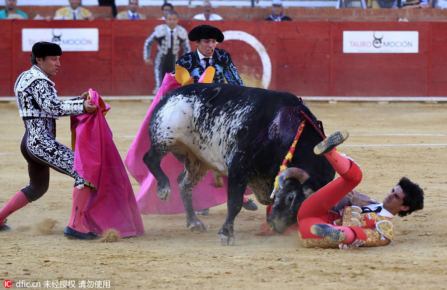 Spanish bullfighter gored to death