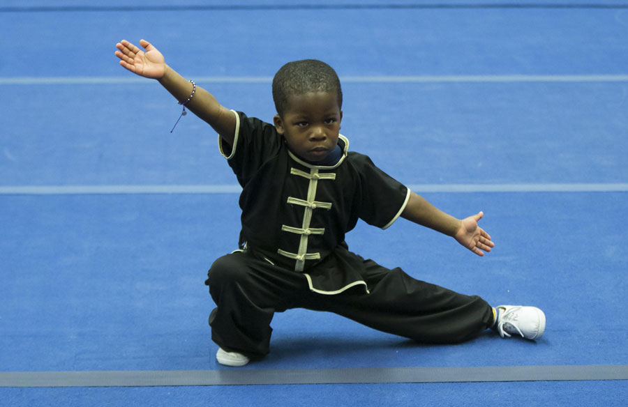 Martial arts lovers show their stuff at Canadian festival