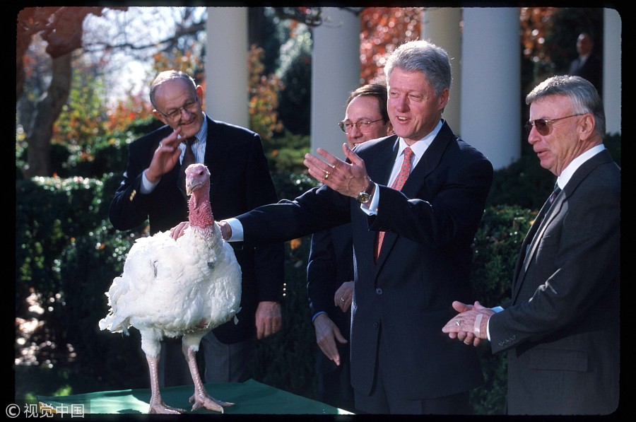 Thanksgiving story: US presidents and pardoned turkeys